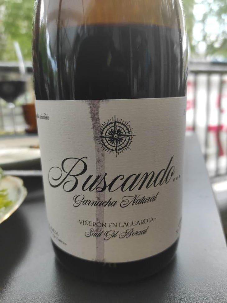 Buscando 2019 2019 - Saul Gil Berzal - José Luis Gil 