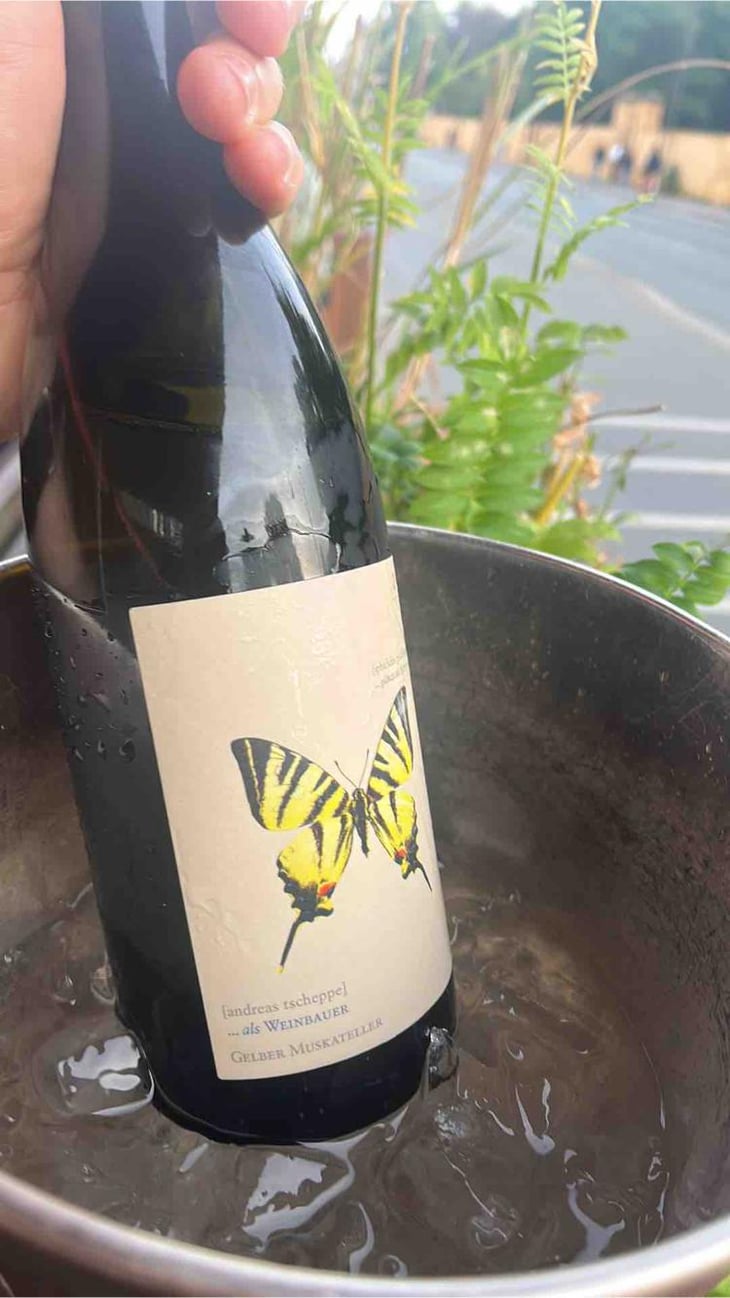 Segelfalter - Gelber Muskateller - Weingut Andreas & Elisabeth Tscheppe - Andreas & Elisabeth Tscheppe 