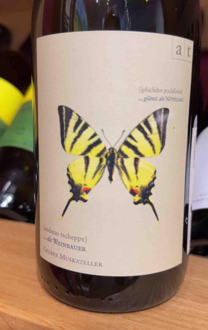 Segelfalter - Gelber Muskateller - Weingut Andreas & Elisabeth Tscheppe - Andreas & Elisabeth Tscheppe 