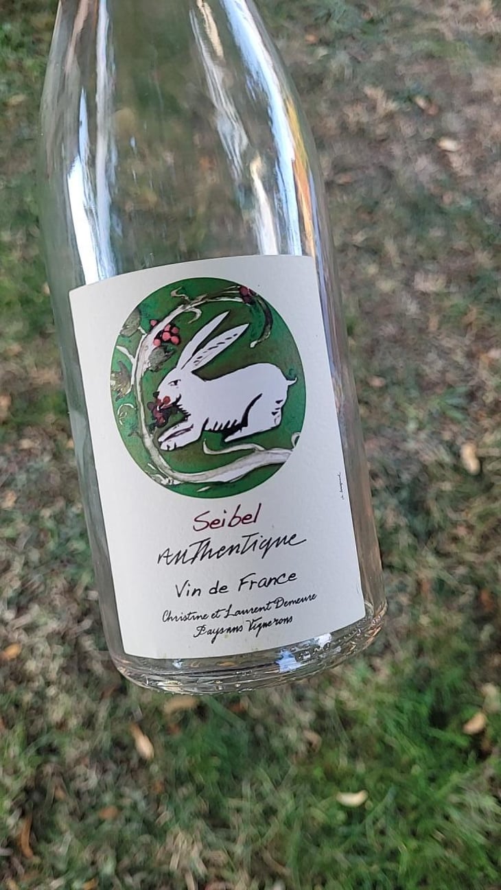 Seibel Authentique - Vin & Pic - Laurent & Christine Demeure, Pierre Rolle 