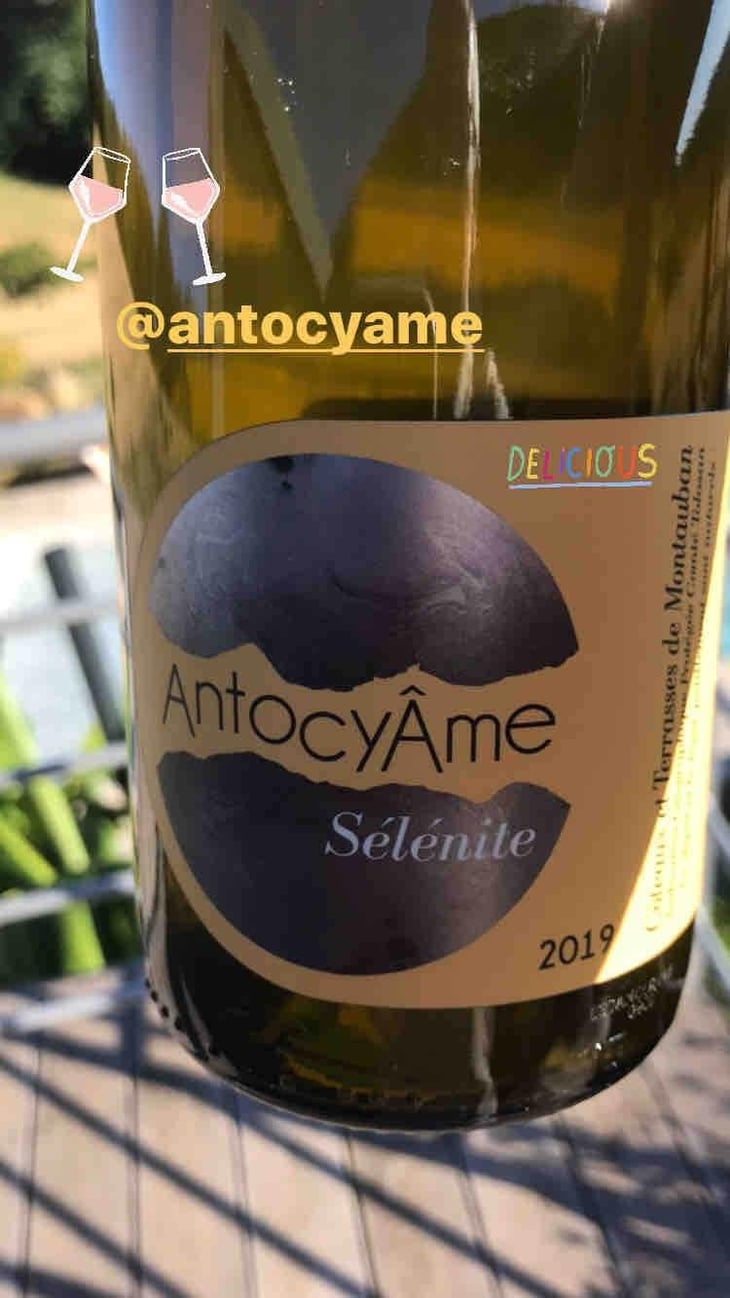 Sélénite - AntocyÂme - Muriel Zoldan 