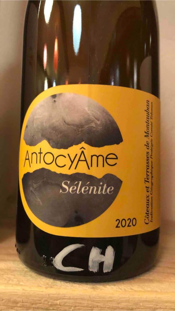 Sélénite - AntocyÂme - Muriel Zoldan 