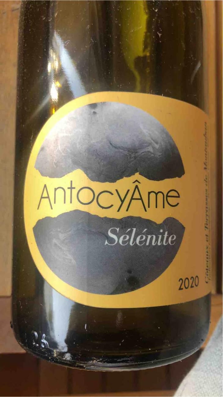 Sélénite - AntocyÂme - Muriel Zoldan 