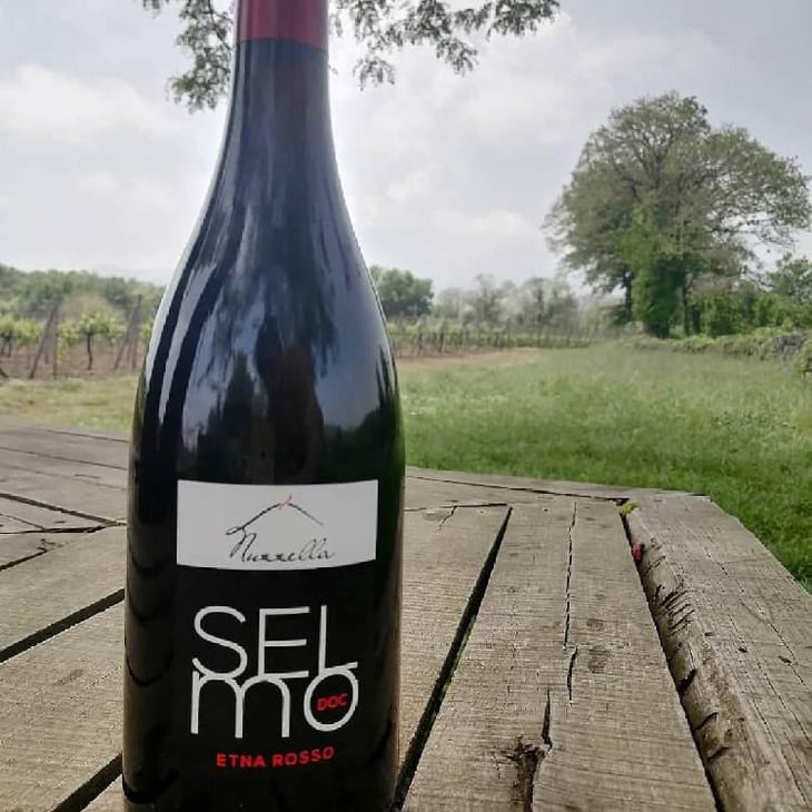 Selmo - Nuzzella Azienda Agricola di Nicola Oteri - Nicola Oteri 
