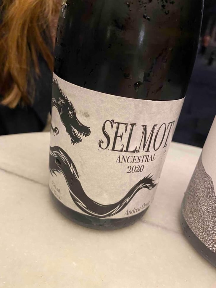Selmot - Familia Nín Ortiz - Andreu Ortiz -2019