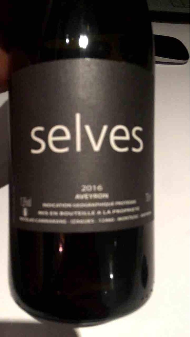 Selves - Nicolas Carmarans - Nicolas Carmarans 