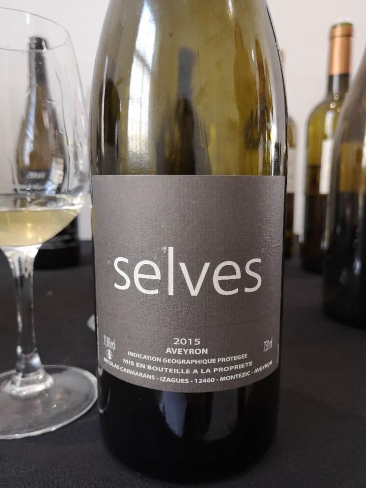 Selves - Nicolas Carmarans - Nicolas Carmarans 