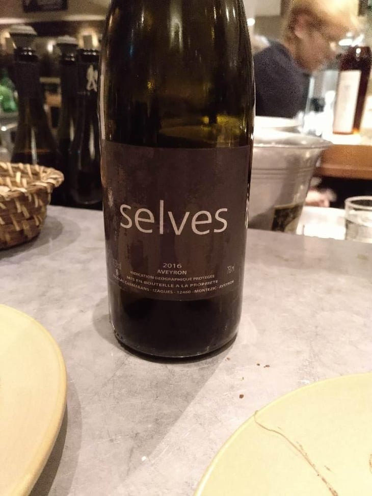 Selves - Nicolas Carmarans - Nicolas Carmarans 