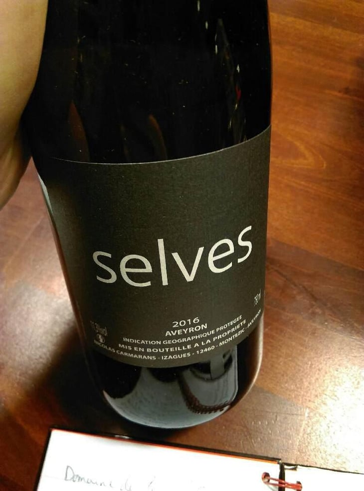 Selves - Nicolas Carmarans - Nicolas Carmarans 