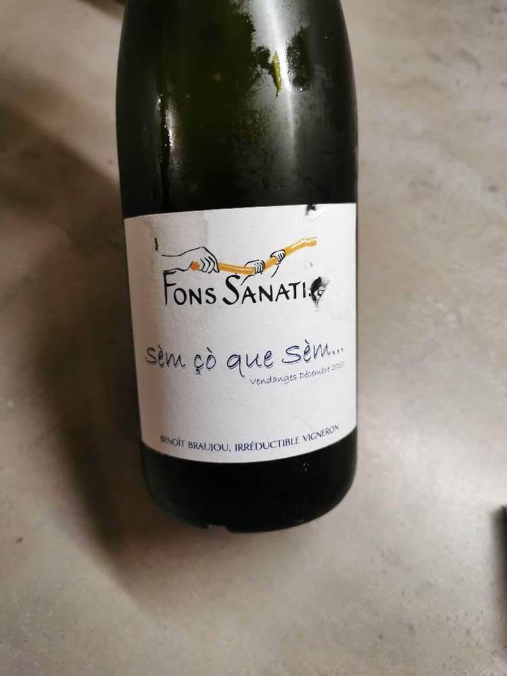Sèm Ço Que Sèm 2010 - Fons Satanis - Benoît Braujou 