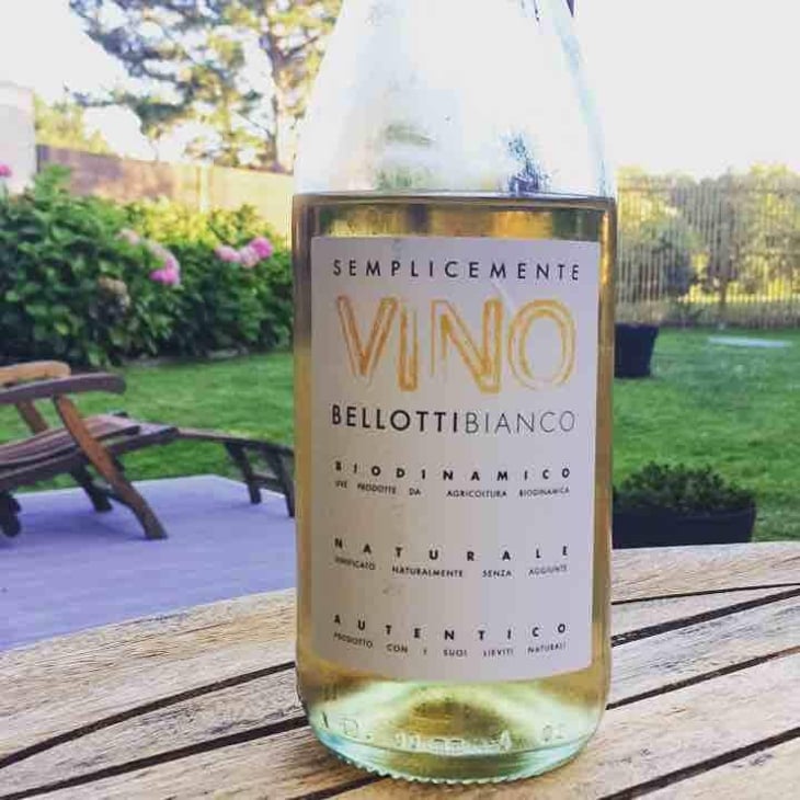 Semplicemente Vino Bianco - Cascina degli Ulivi - Ilaria Bellotti 