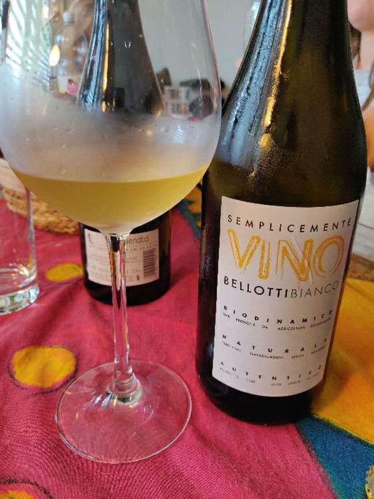 Semplicemente Vino Bianco - Cascina degli Ulivi - Ilaria Bellotti 