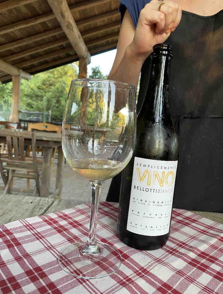 Semplicemente Vino Bianco - Cascina degli Ulivi - Ilaria Bellotti 