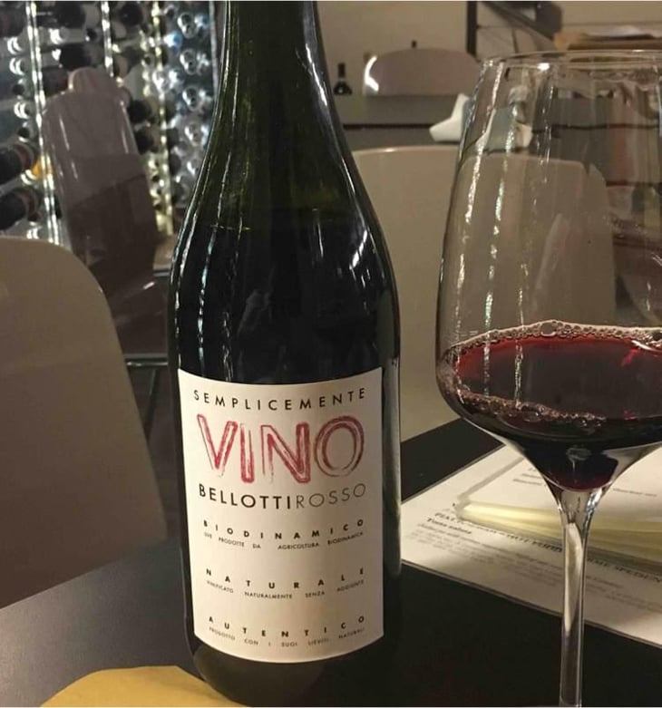 Semplicemente Vino Rosso - Cascina degli Ulivi - Ilaria Bellotti 
