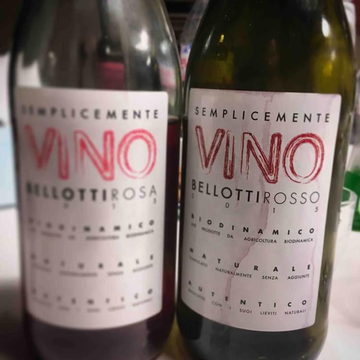 Semplicemente Vino Rosso - Cascina degli Ulivi - Ilaria Bellotti 