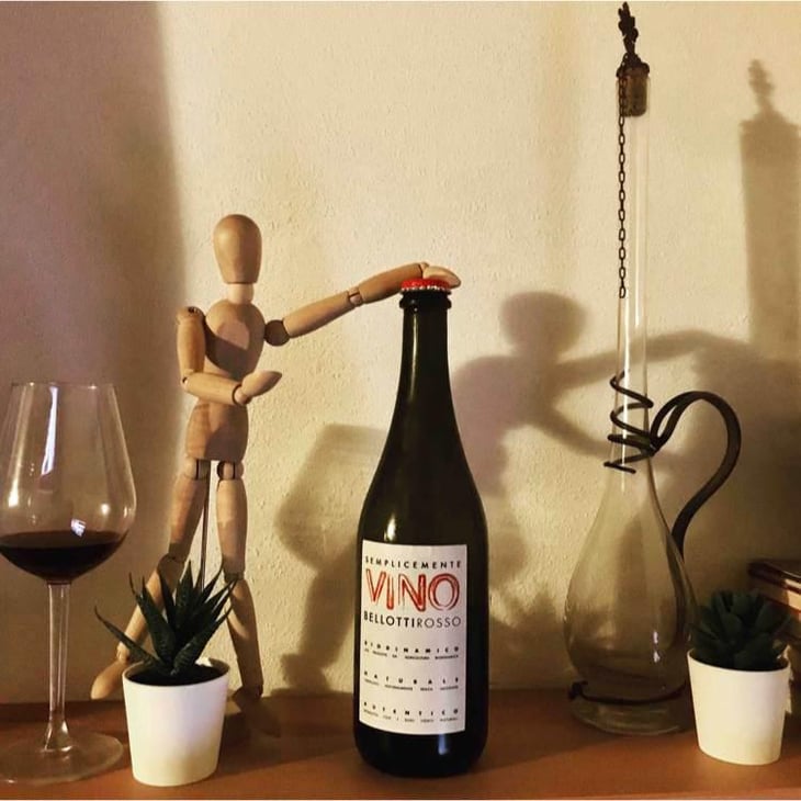 Semplicemente Vino Rosso - Cascina degli Ulivi - Ilaria Bellotti 