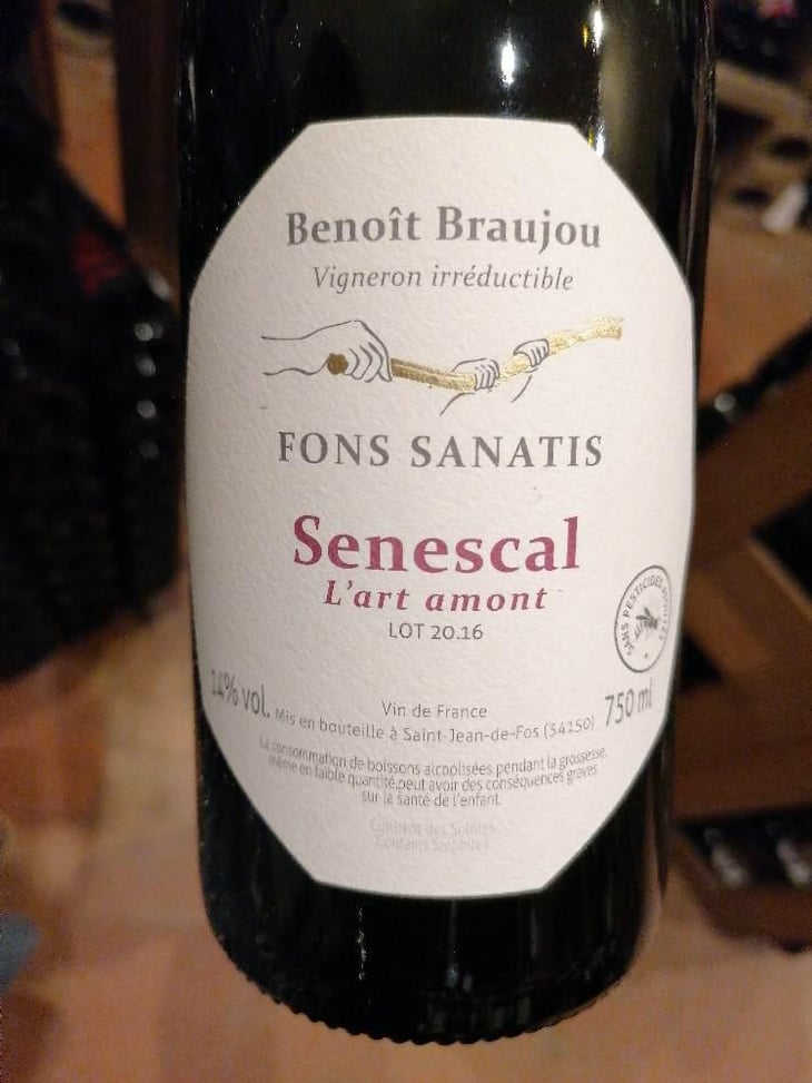 Senescal - Fons Satanis - Benoît Braujou -2016