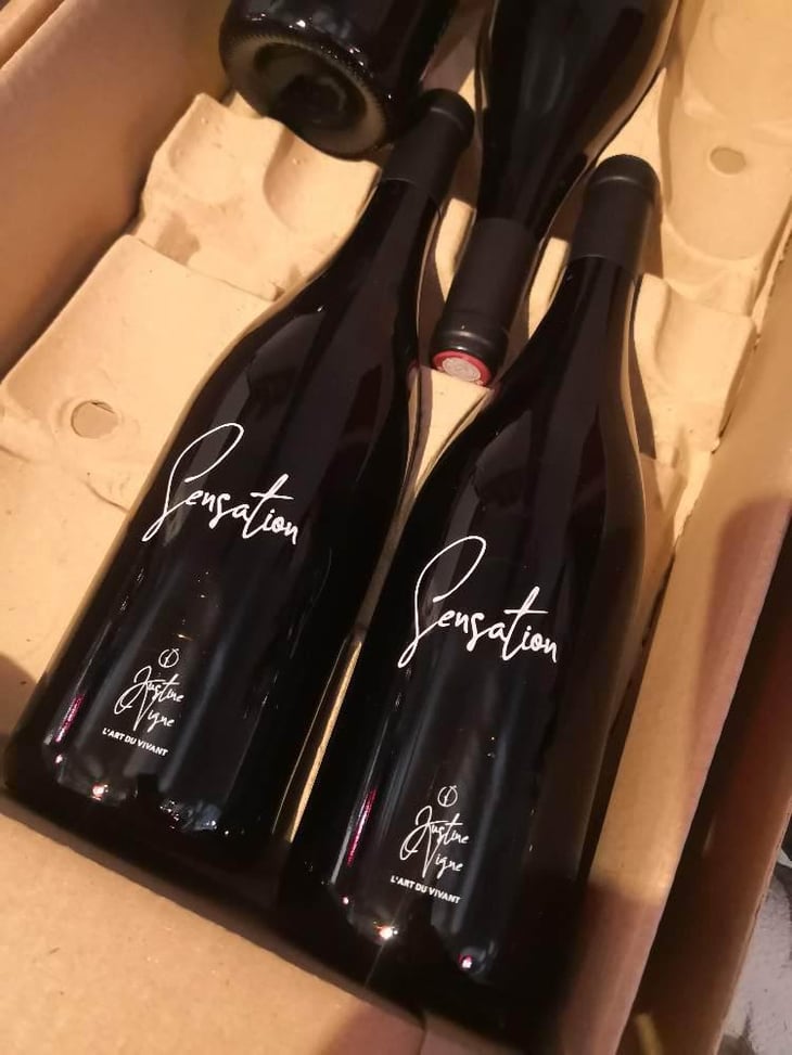 Sensation (pride) - Justine Vigne - Justine Vigne 