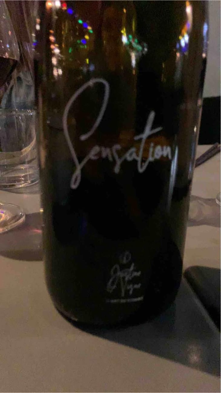 Sensation (pride) - Justine Vigne - Justine Vigne 