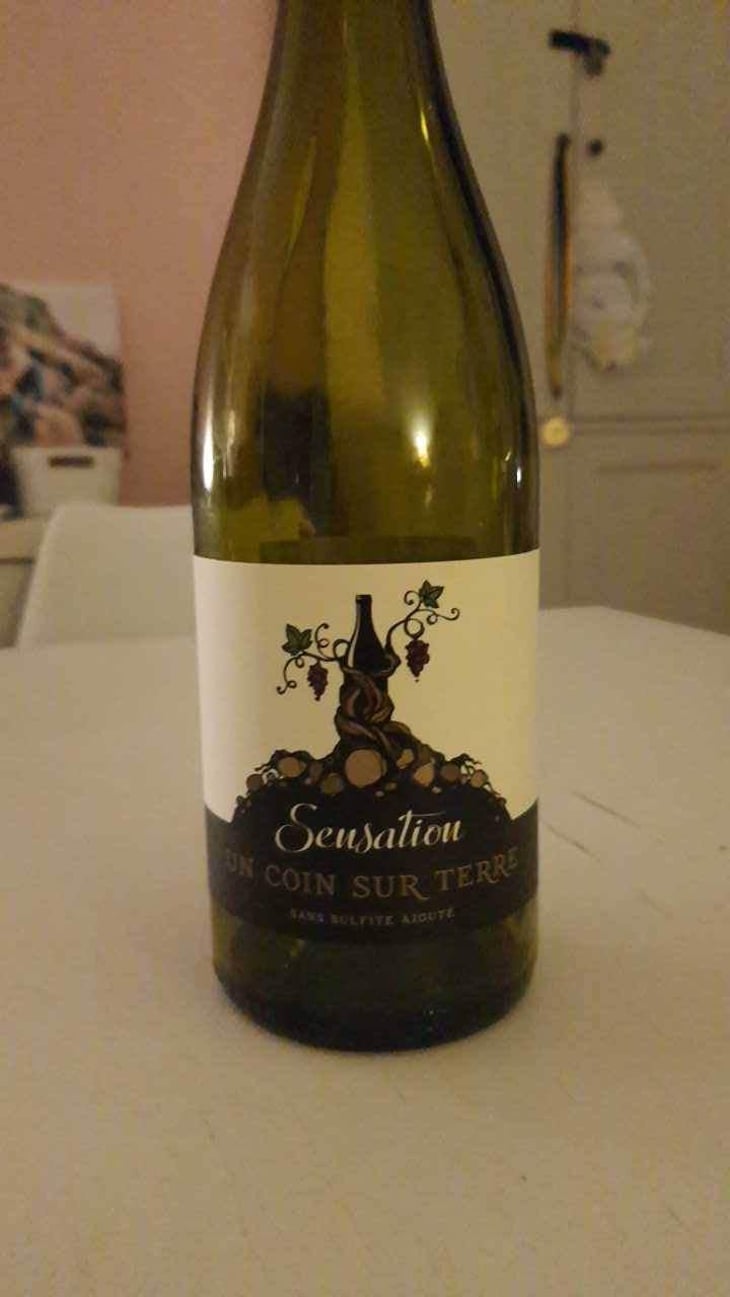 Sensation - Un Coin Sur Terre - Edouard Sentex 