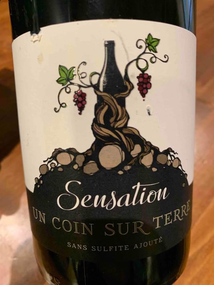 Sensation - Un Coin Sur Terre - Edouard Sentex 
