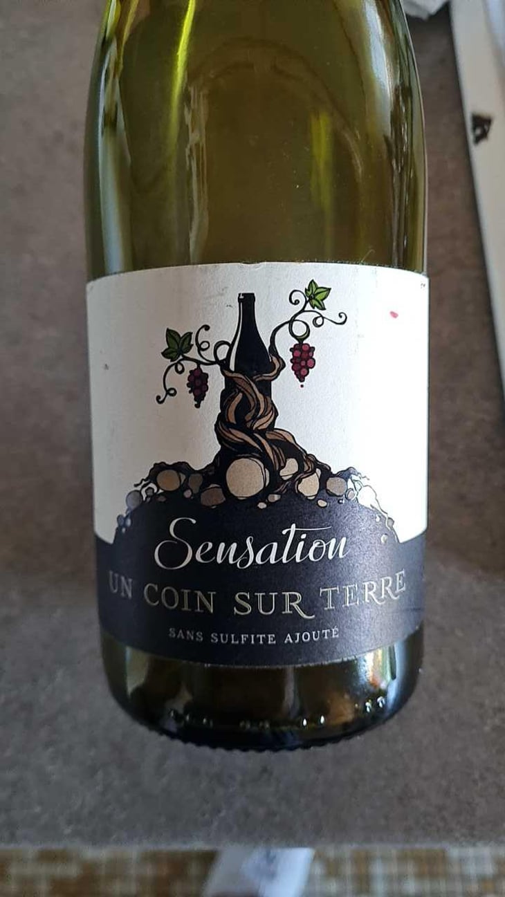 Sensation - Un Coin Sur Terre - Edouard Sentex 