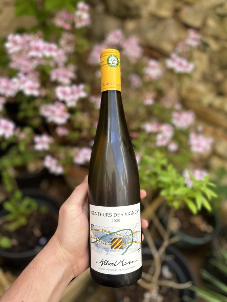 Alsace senteurs des vignes - Domaine Albert Mann - Famille Barthelmé 