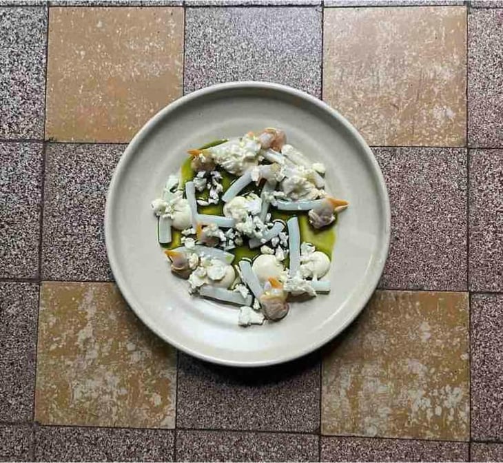 Sepia - Cauliflower - Nage - 555304