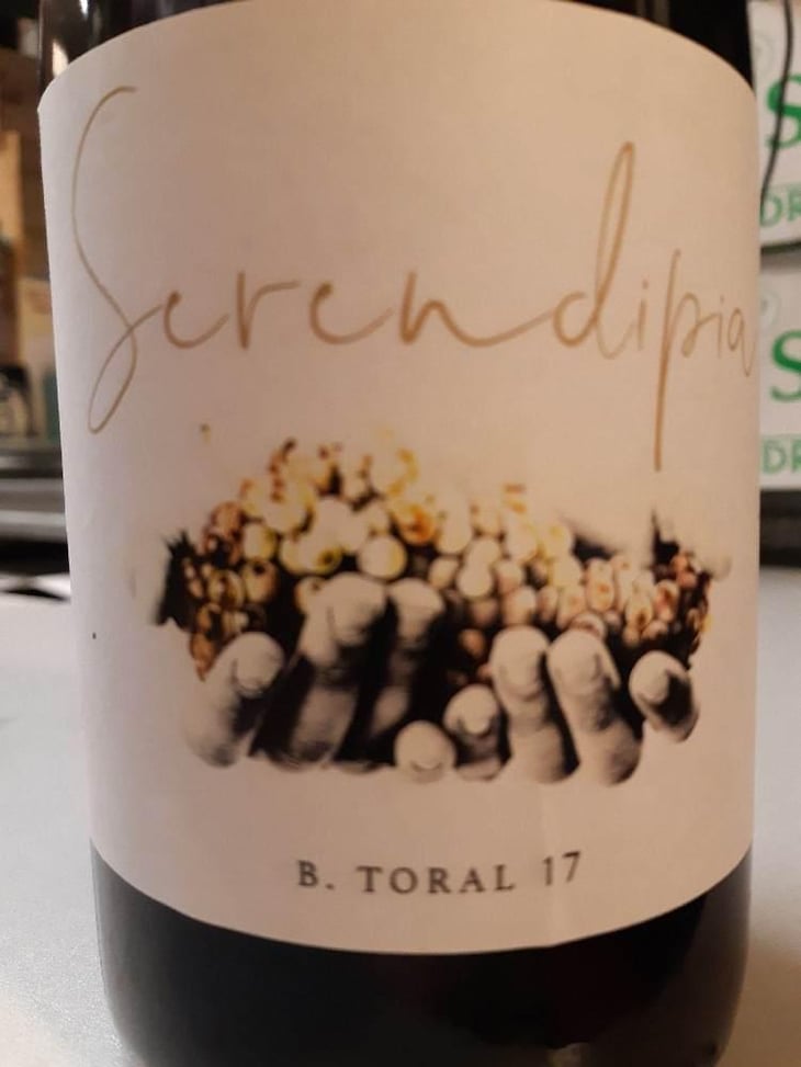 Serendipity - Bodega Toral - Pablo Toral Gómez 
