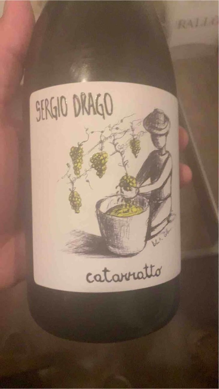 Sergio Drago Rosa - Sergio Drago - Sergio Drago 