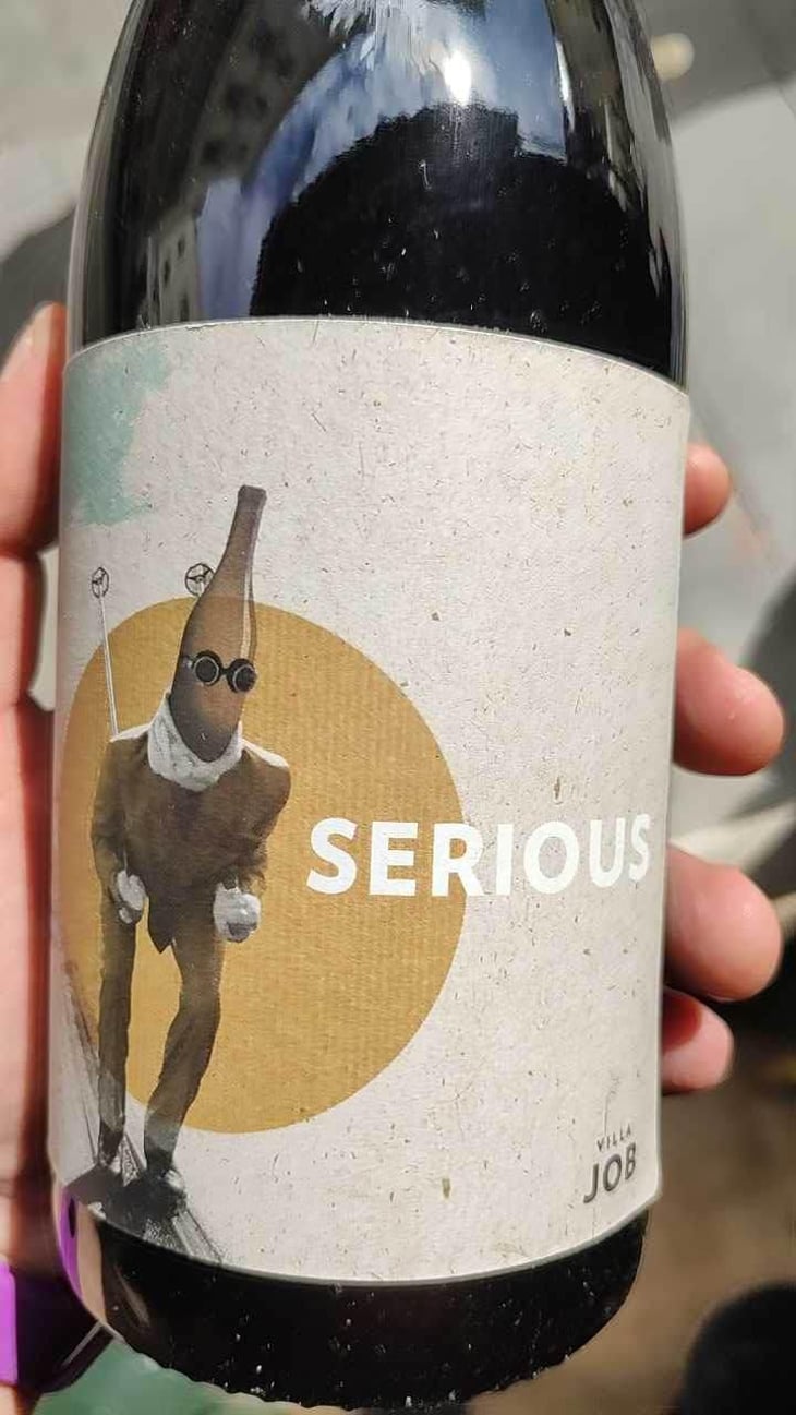 Serious - Villa Job - Alessandro Job 