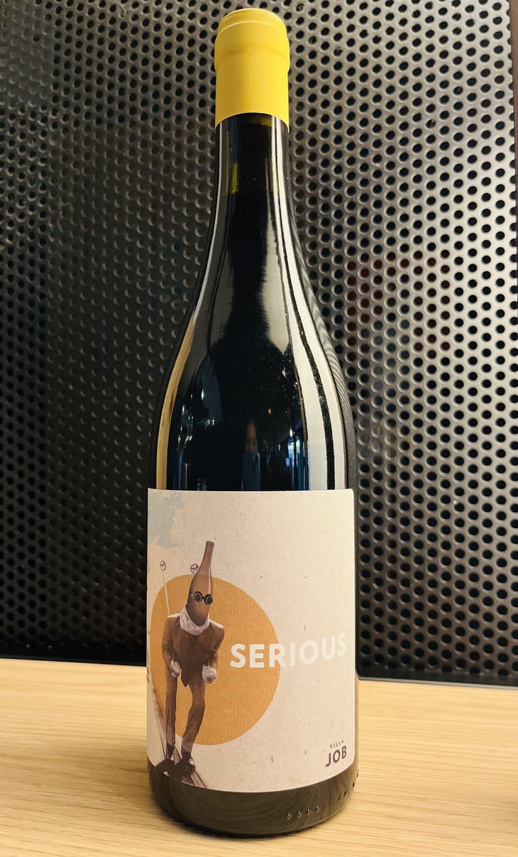 Serious - Villa Job - Alessandro Job 
