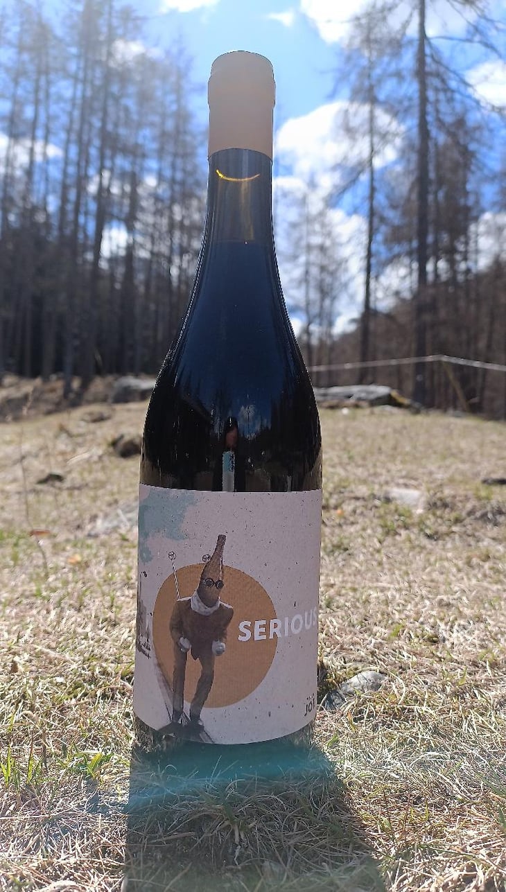 Serious - Villa Job - Alessandro Job 