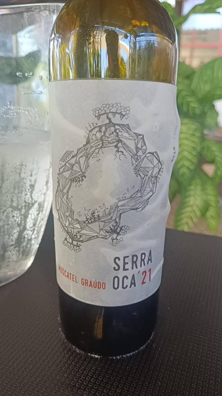 Serra Oca – Branco - Quinta do Olival da Murta - Vivas Family -2019