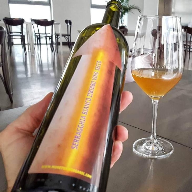 Serragghia Bianco Zibibbo - Azienda Agricola Serragghia - Gabrio & Giotto Bini 