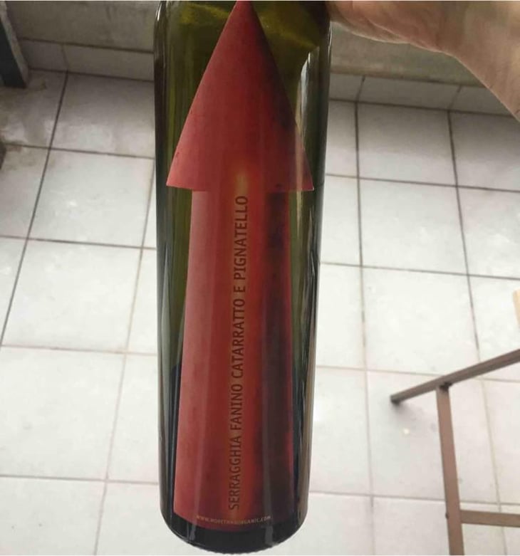 Serragghia Rosso Fanino - Azienda Agricola Serragghia - Gabrio & Giotto Bini 