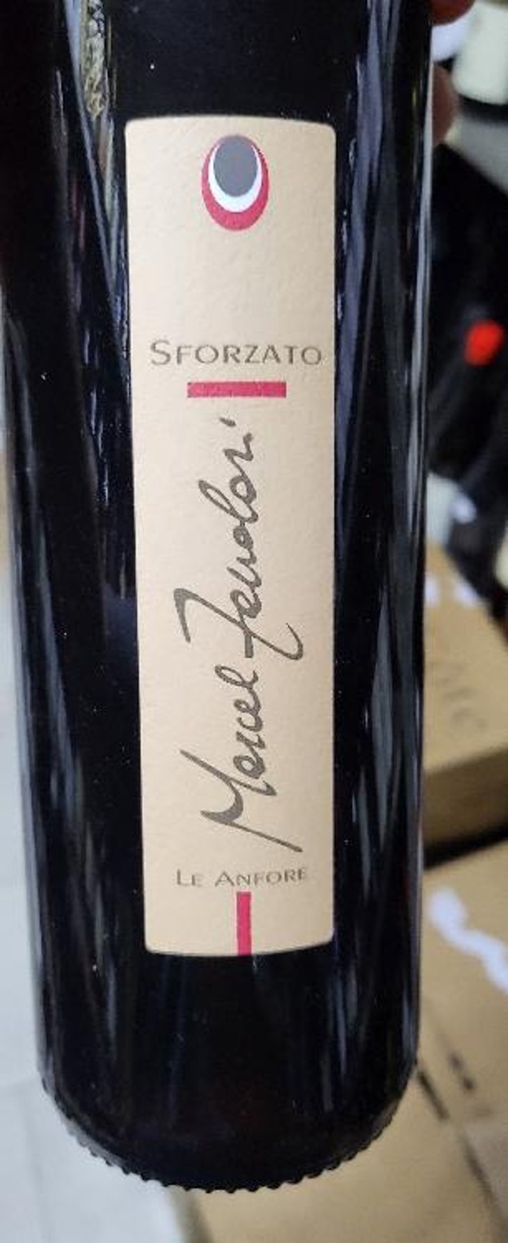 Sforzato le anfore - Casa Vinicola La Torre - Marcel Zanolari -2011