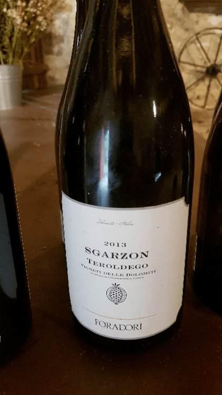 Sgarzon - Azienda Agricola Foradori - Elisabetta Foradori 
