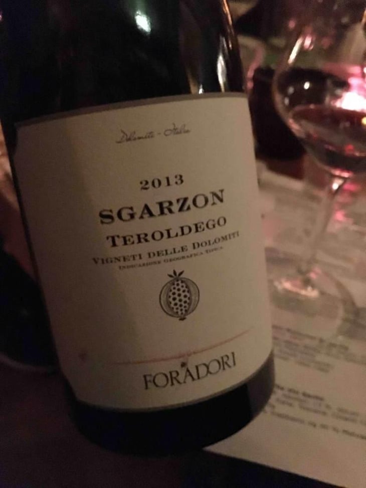 Sgarzon - Azienda Agricola Foradori - Elisabetta Foradori 