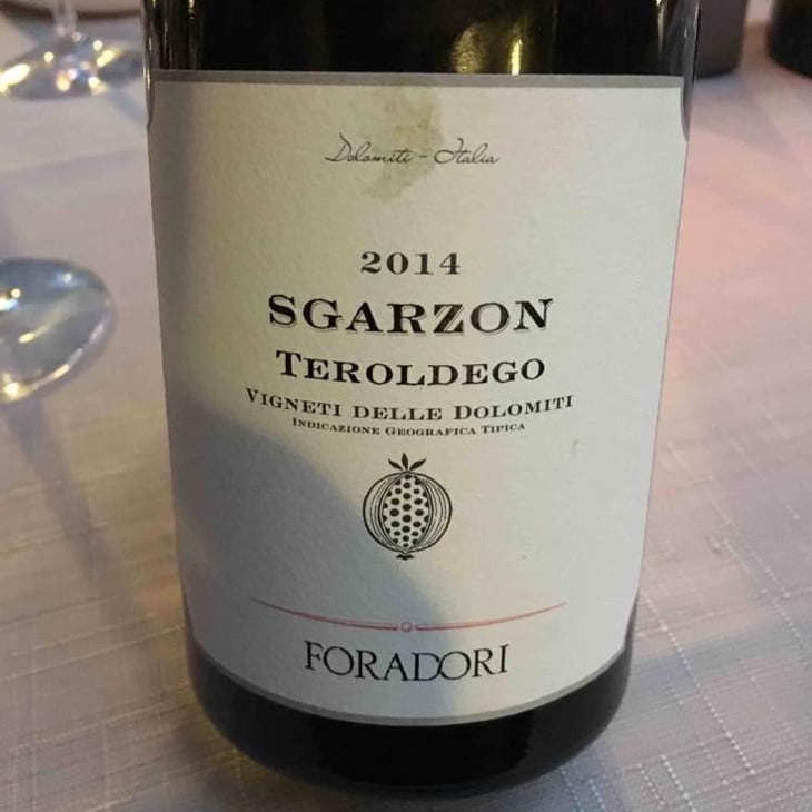 Sgarzon - Azienda Agricola Foradori - Elisabetta Foradori 