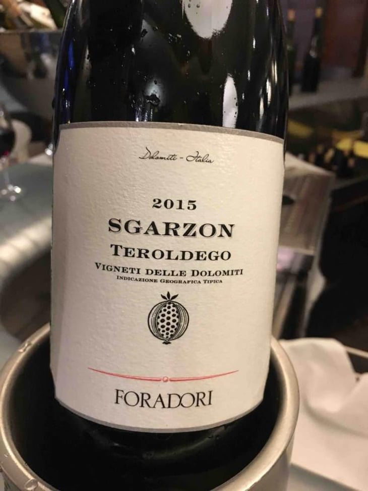 Sgarzon - Azienda Agricola Foradori - Elisabetta Foradori 