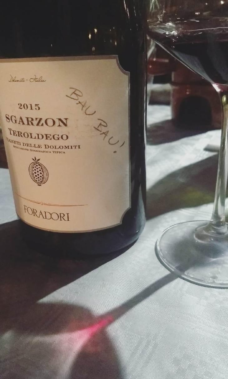 Sgarzon - Azienda Agricola Foradori - Elisabetta Foradori 