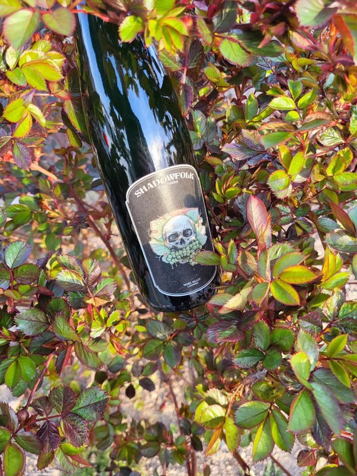 Shadowfolk - Shadowfolk Vineyards - Petra Kujanpää -2021