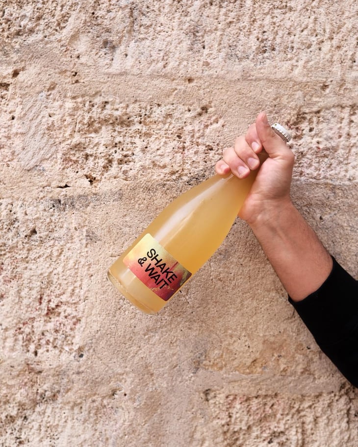 Shake & Wait Pet Nat Orange - Brand Bros - Weingut Brand - Daniel & Jonas Brand 