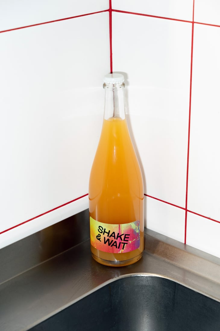 Shake & Wait Pet Nat Orange - Brand Bros - Weingut Brand - Daniel & Jonas Brand 