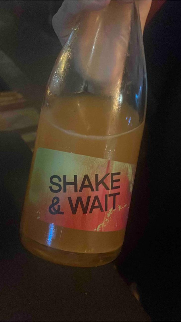 Shake & Wait Pet Nat Orange - Brand Bros - Weingut Brand - Daniel & Jonas Brand 