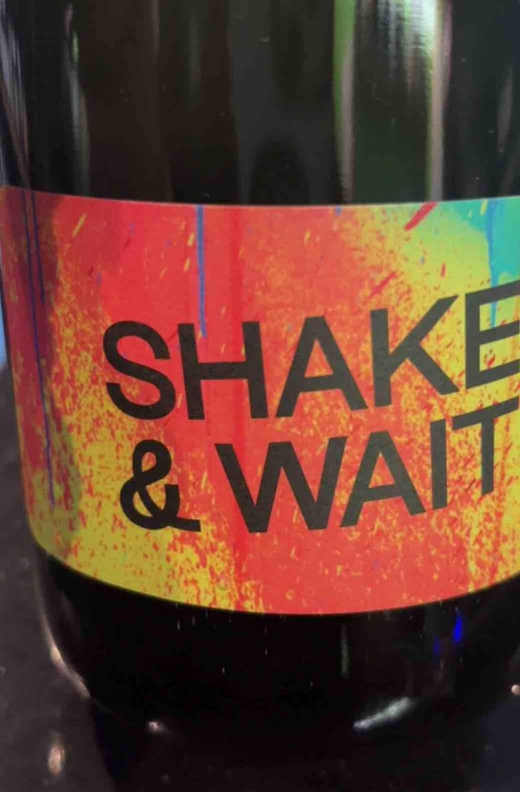 Shake & Wait Pet Nat White - Brand Bros - Weingut Brand - Daniel & Jonas Brand -2021
