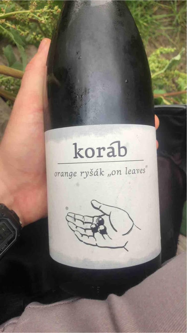 Koráb - Vinařství Petr Koráb - Petr Koráb 