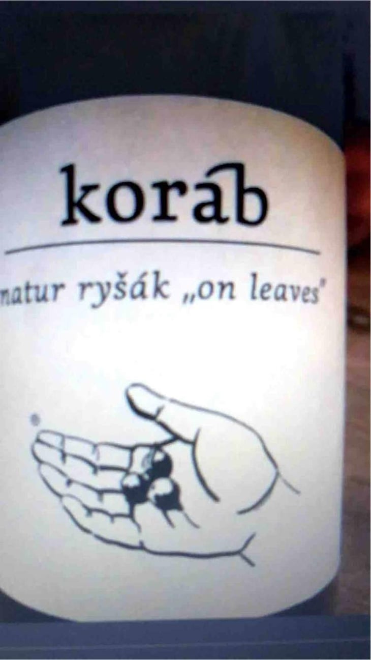 Koráb - Vinařství Petr Koráb - Petr Koráb 