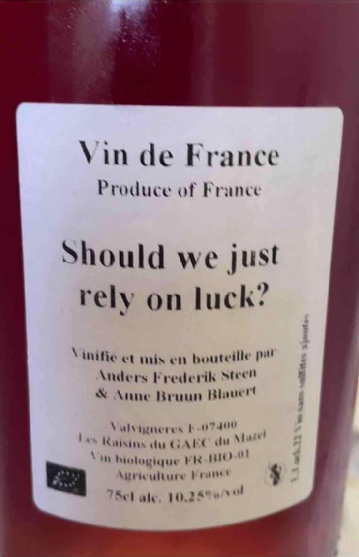 Should we just rely on luck? - Anders Frederik Steen & Anne Bruun Blauert - Anders Frederik Steen & Anne Bruun Blauert 